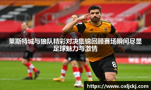 莱斯特城与狼队精彩对决集锦回顾赛场瞬间尽显足球魅力与激情